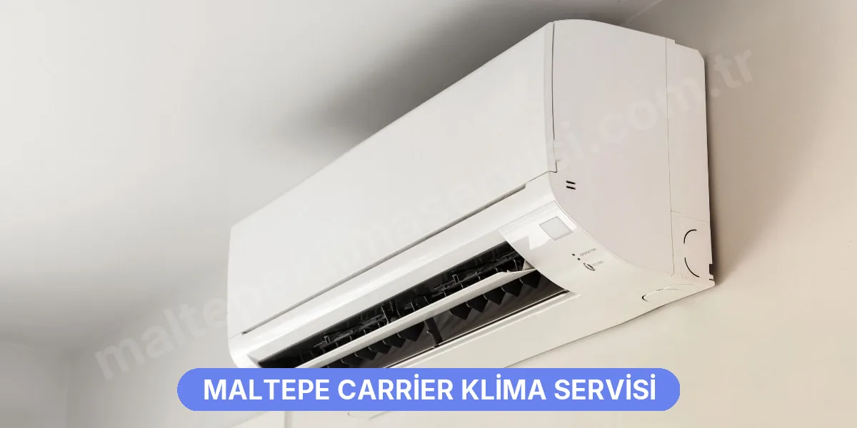 Maltepe Carrier Klima Servisi
