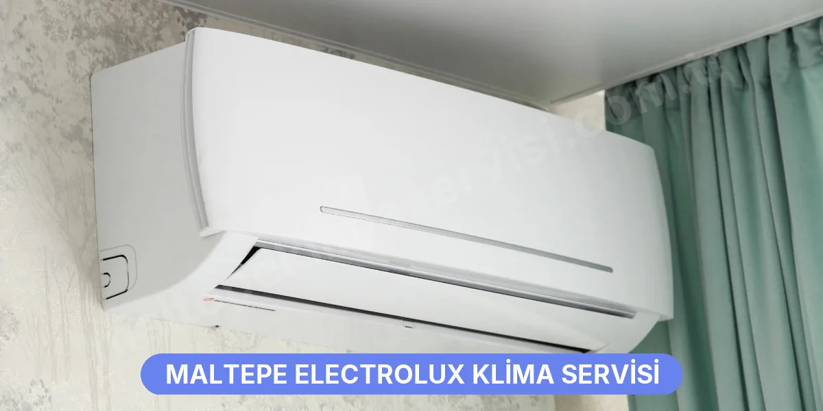 Maltepe Electrolux Klima Servisi