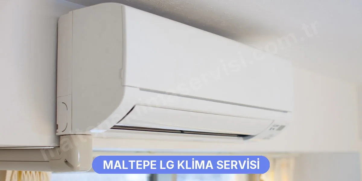 Maltepe LG Klima Servisi